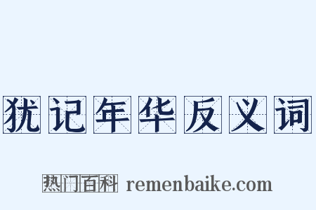犹记年华反义词是什么意思的图片